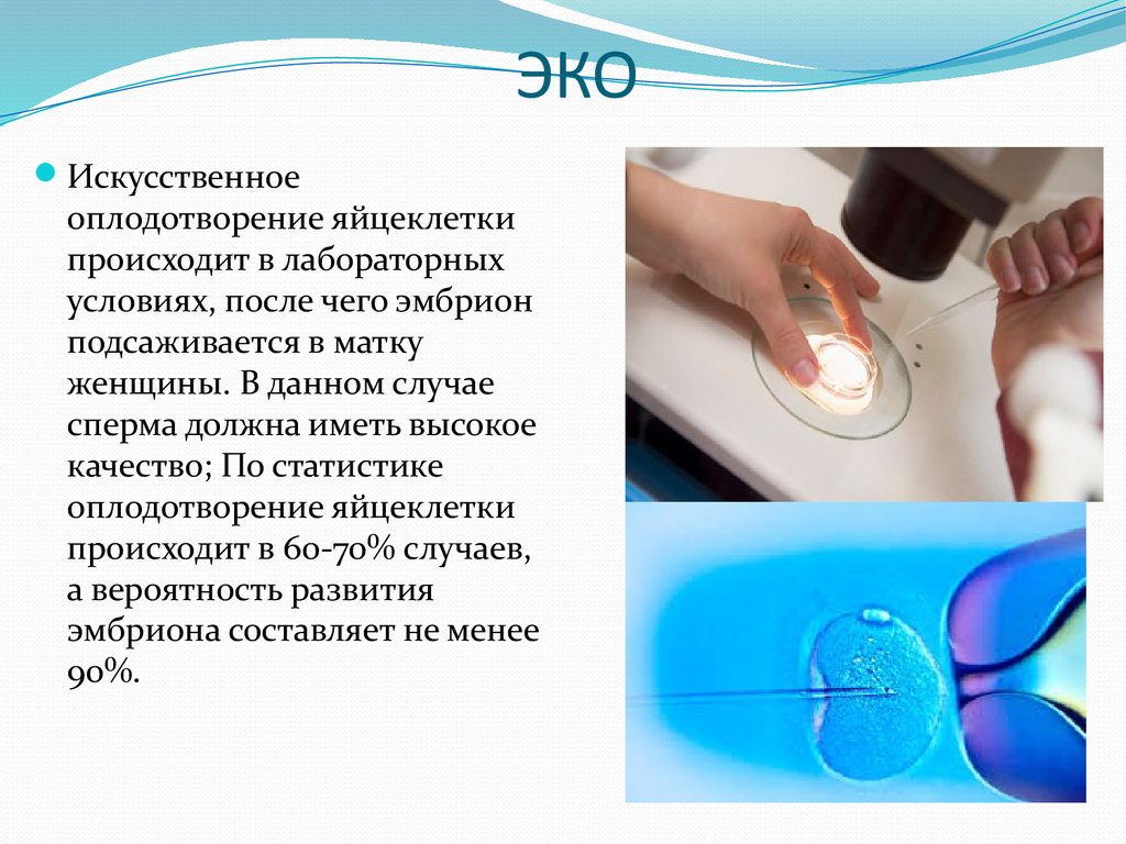 Справка для ЭКО