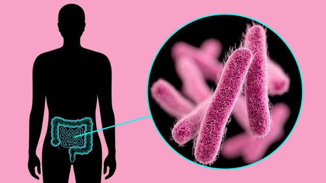Справка о прививке от дизентерии
